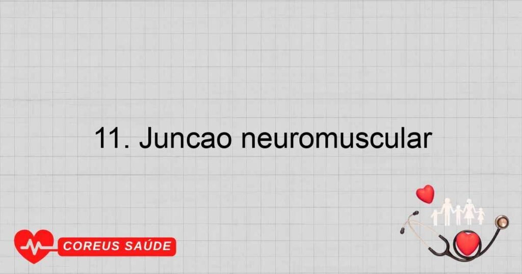 11. Junção neuromuscular