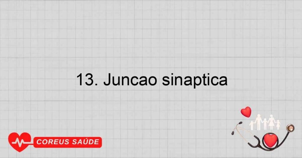 13. Junção sináptica