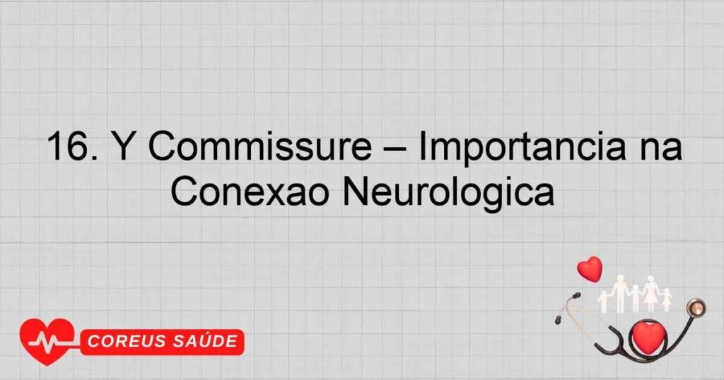 16. Y Commissure – Importância na Conexão Neurológica