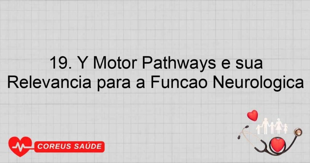 19. Y Motor Pathways e sua Relevância para a Função Neurológica