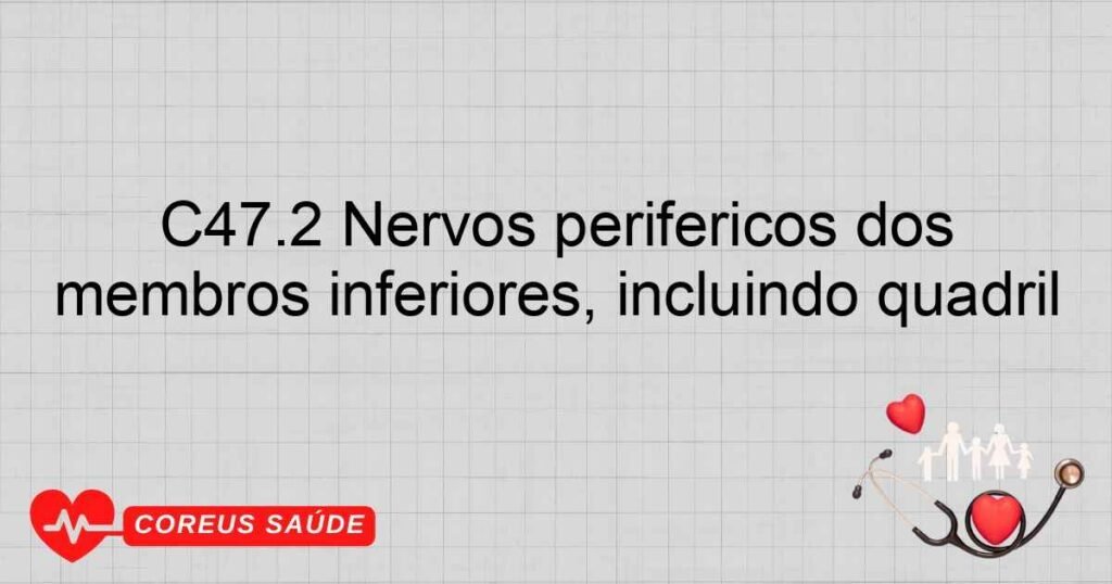 C47.2 Nervos periféricos dos membros inferiores, incluindo quadril