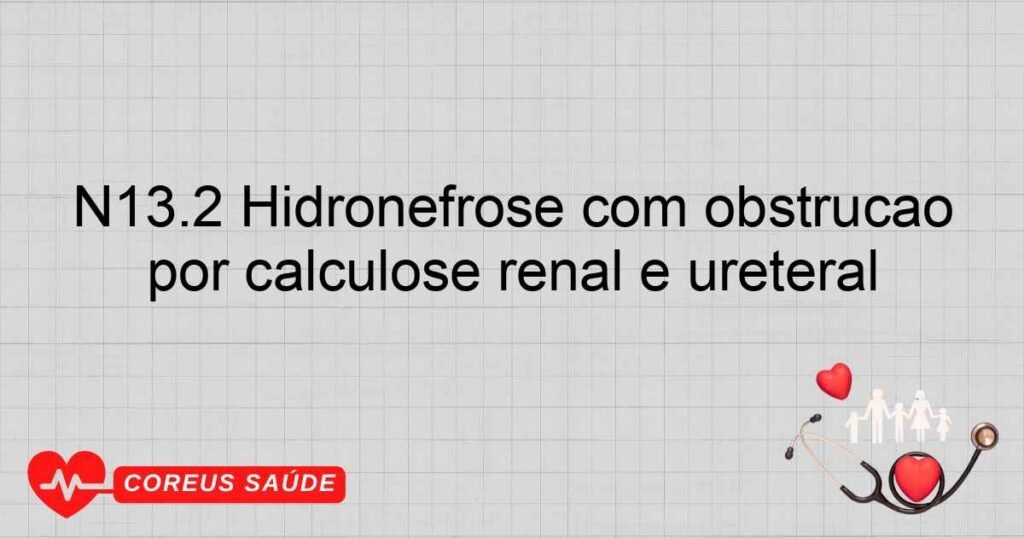 N13.2 Hidronefrose com obstrução por calculose renal e ureteral