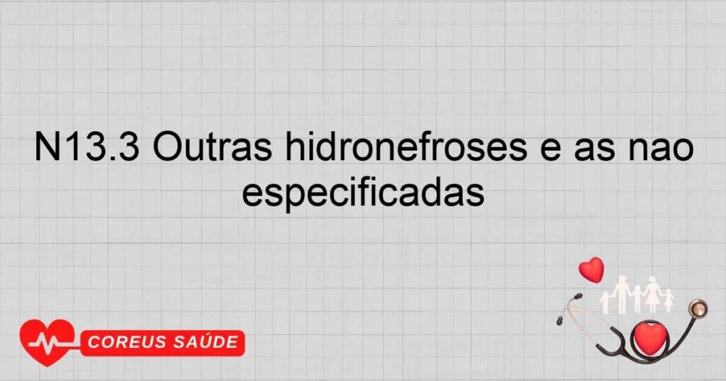 N13.3 Outras hidronefroses e as não especificadas N13.3 Outras hidronefroses e as não especificadas