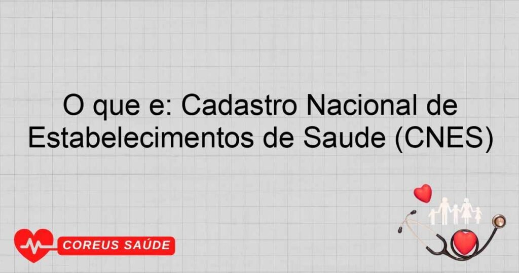 O que é: Cadastro Nacional de Estabelecimentos de Saúde (CNES) O que é: Cadastro Nacional de Estabelecimentos de Saúde (CNES)