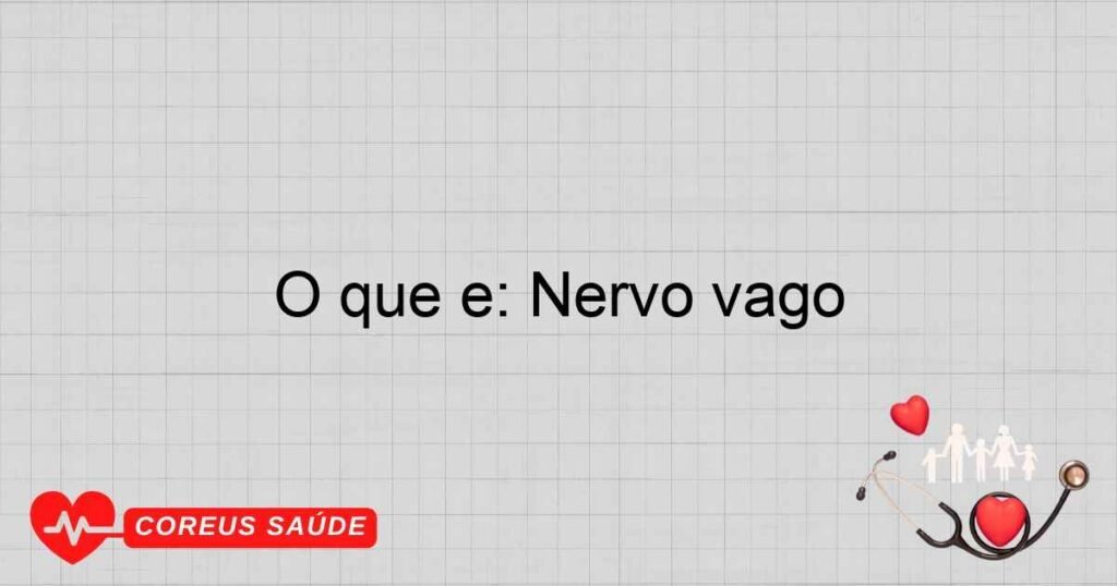 O que é: Nervo vago