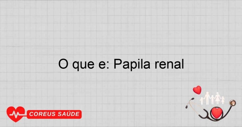 O que é: Papila renal