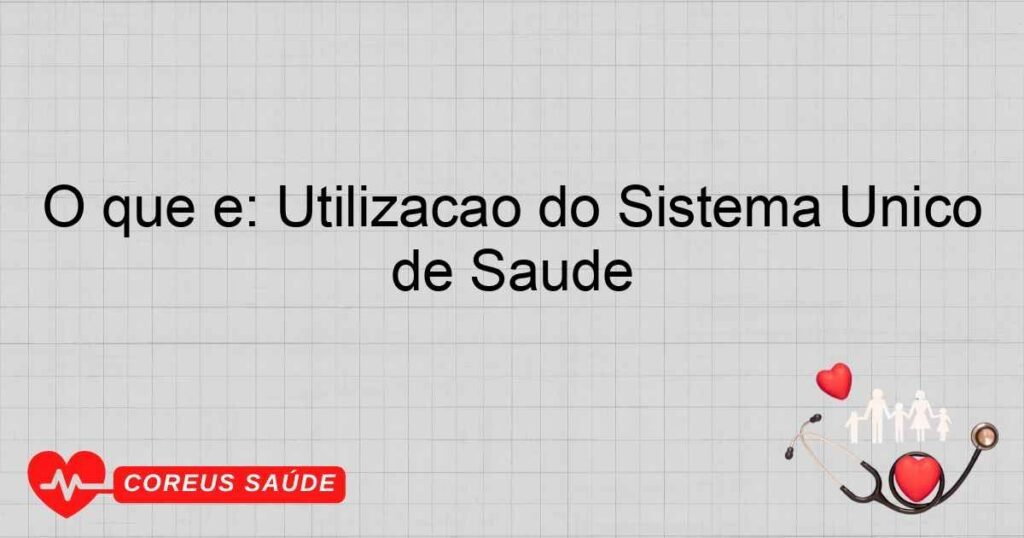 O que é: Utilização do Sistema Único de Saúde O que é: Utilização do Sistema Único de Saúde