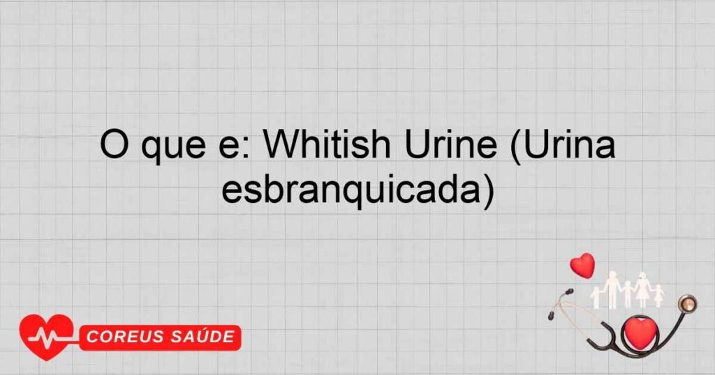 O que é: Whitish Urine (Urina esbranquiçada) O que é: Whitish Urine (Urina esbranquiçada)