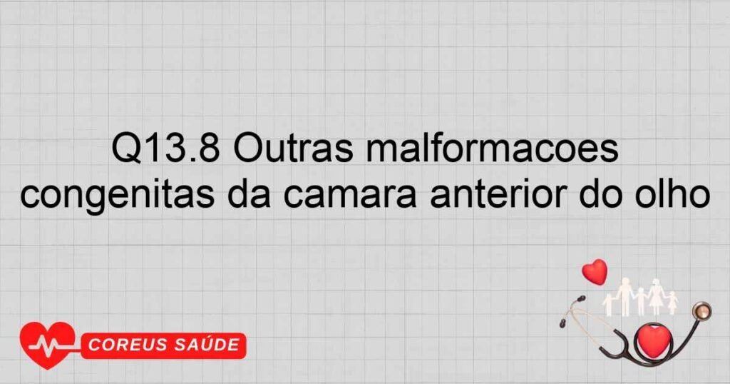 Q13.8 Outras malformações congênitas da câmara anterior do olho Q13.8 Outras malformações congênitas da câmara anterior do olho