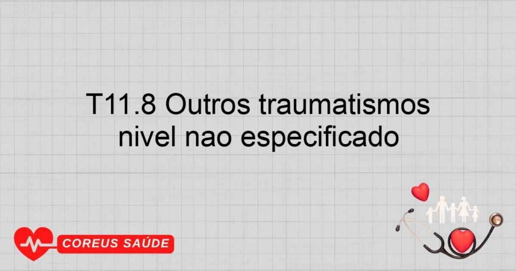 T11.8 Outros traumatismos especificados do membro superior nível não especificado