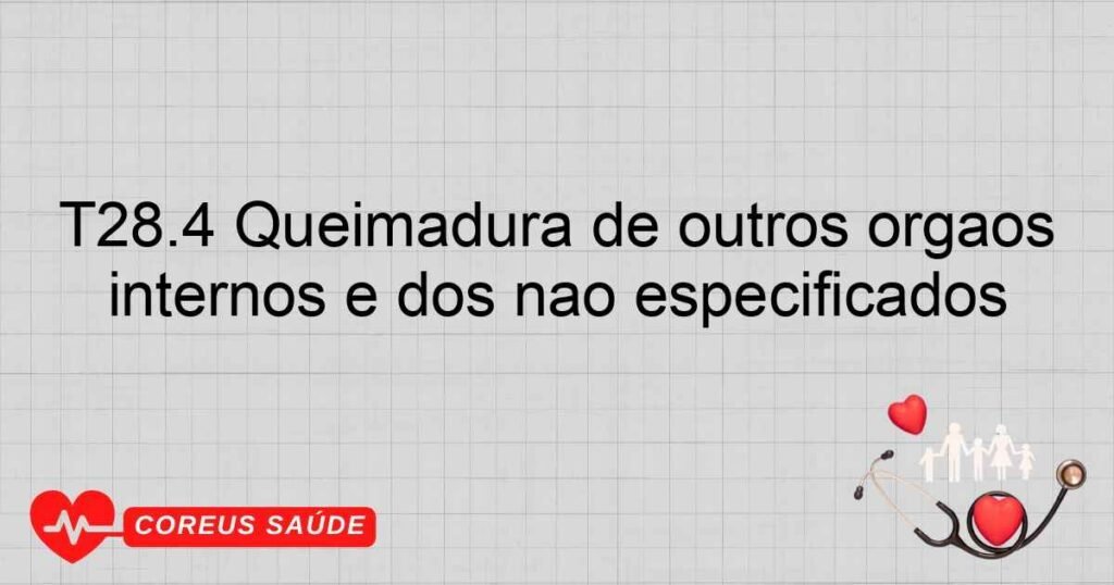 T28.4 Queimadura de outros órgãos internos e dos não especificados