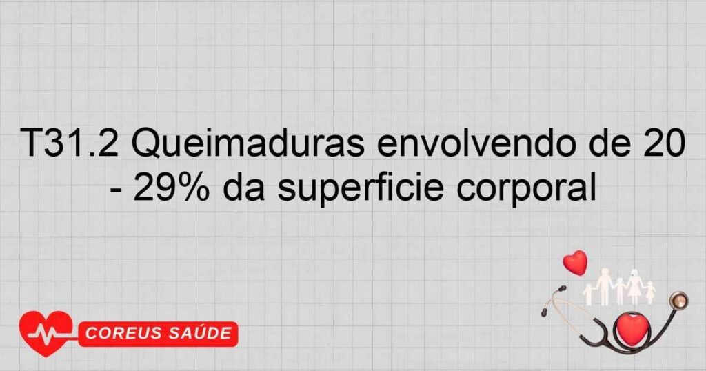 T31.2 Queimaduras envolvendo de 20 29% da superfície corporal T31.2 Queimaduras envolvendo de 20 29% da superfície corporal