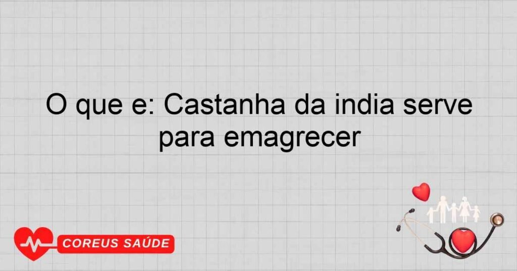 O que é: Castanha da índia serve para emagrecer O que é: Castanha da índia serve para emagrecer